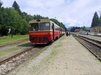 810 617-3