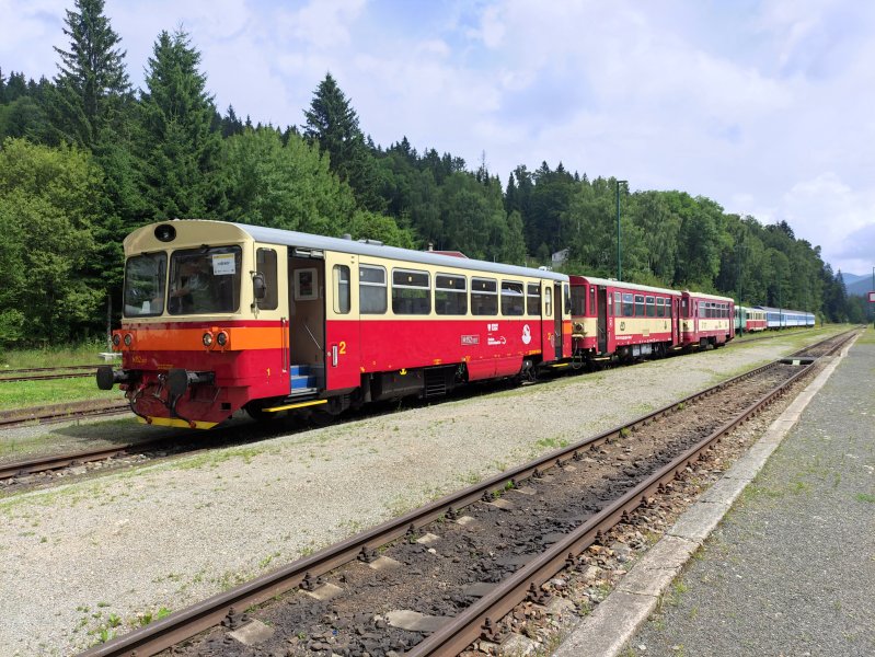 810 617-3