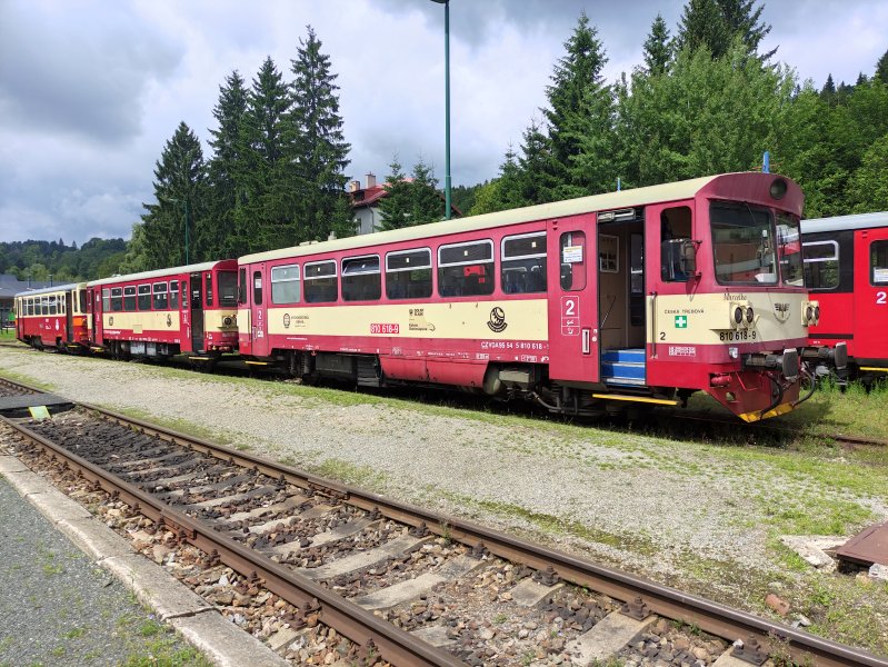 810 618-9