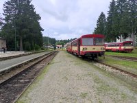 93-29 009-0