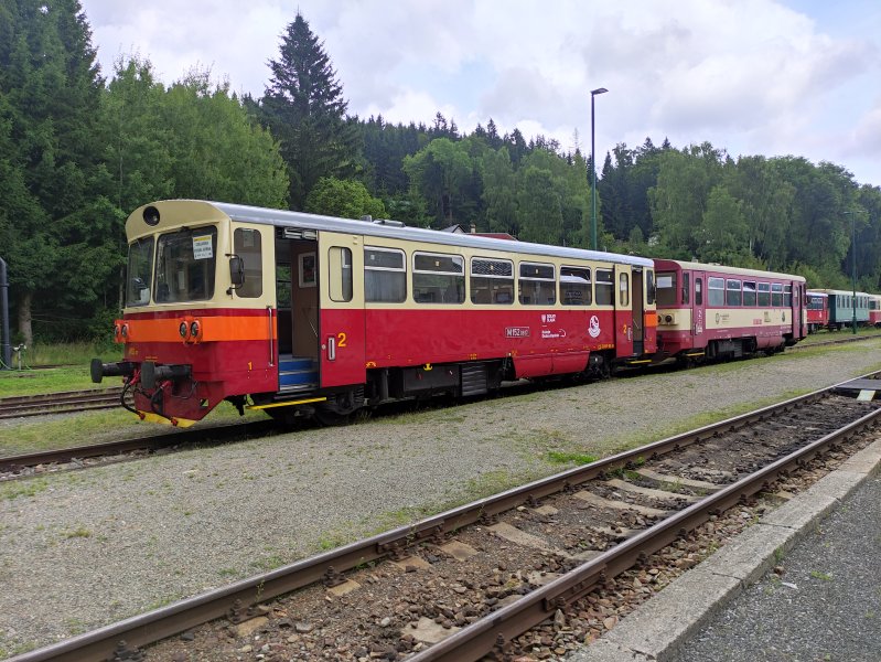810 617-3