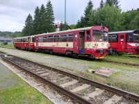 810 618-9