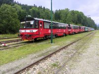 810 433-3