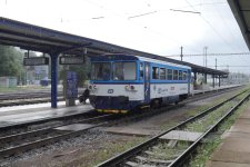 810 501-7