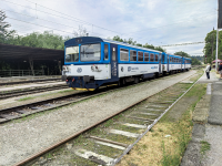 810 333-5