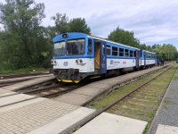 810 621-3