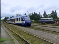 648 737-4