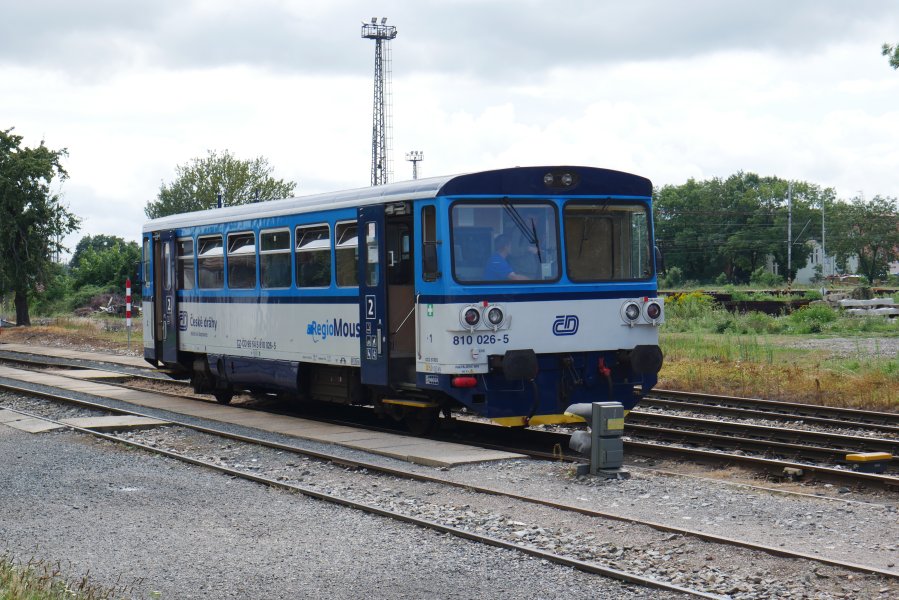810 026-5