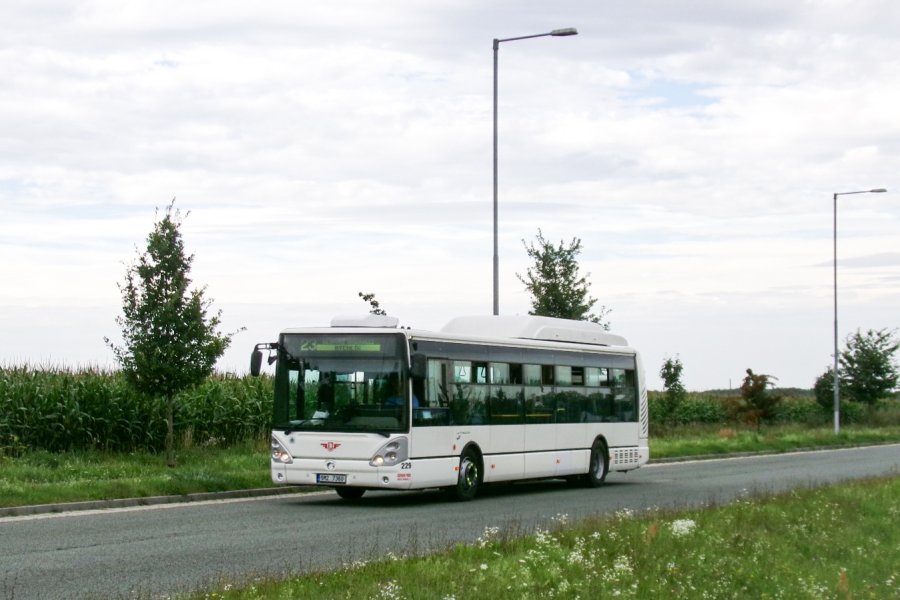229