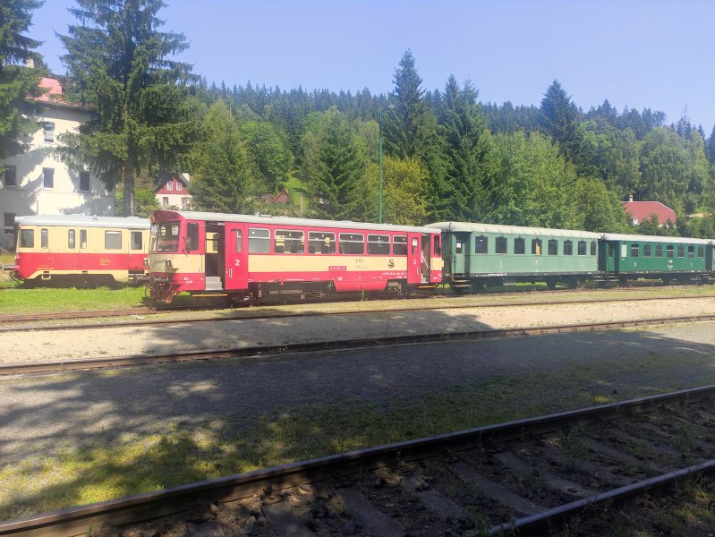 810 157-8
