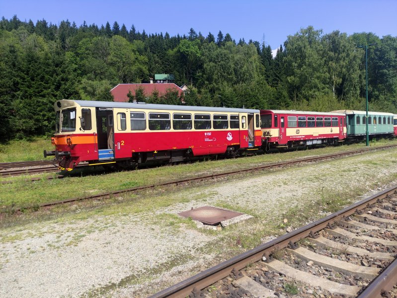 810 617-3