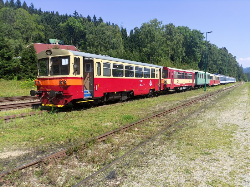 810 617-3