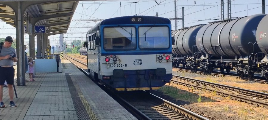 809 502-8