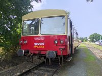 24-29 145-6