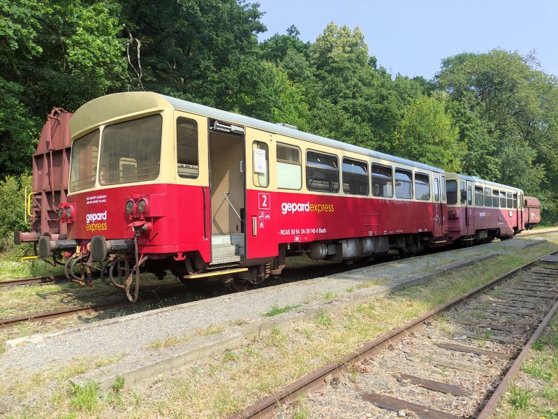 24-29 145-6