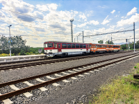 811 013-6