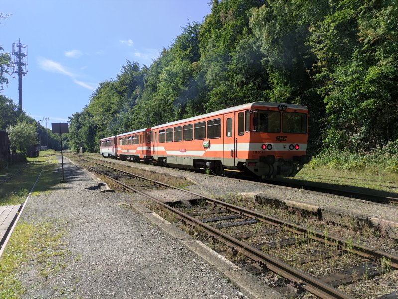 811 008-6