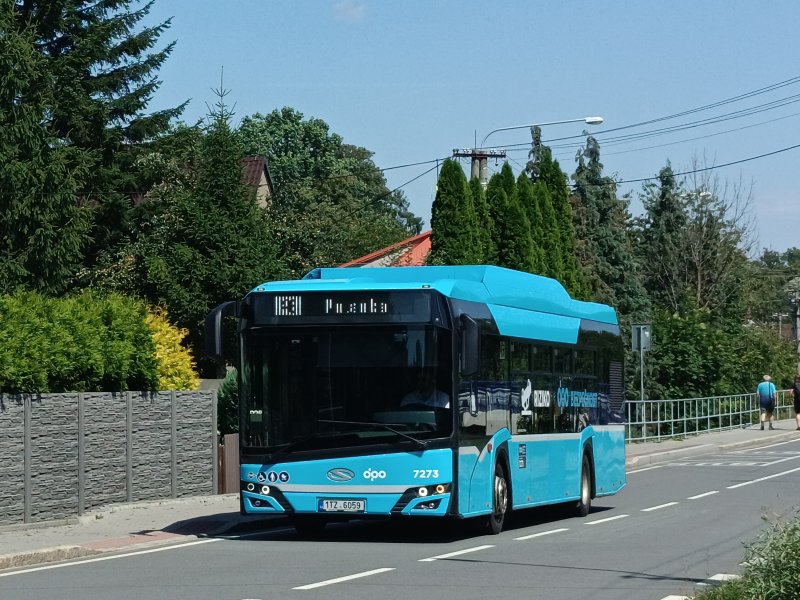 7273