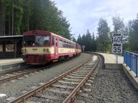 810 618-9