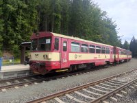 810 618-9
