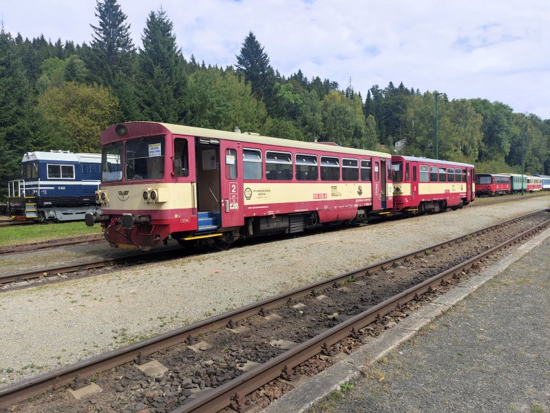 810 618-9