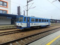 810 459-8