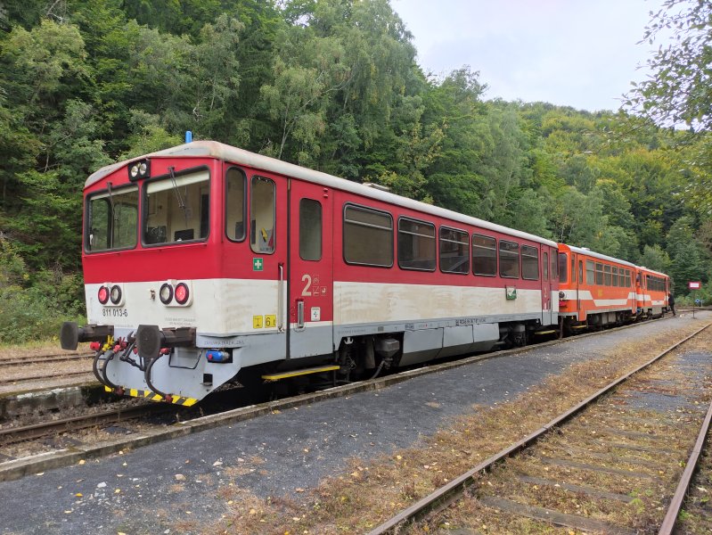 811 013-6
