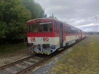 811 013-6