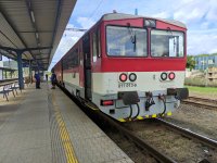 811 013-6