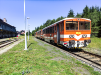 811 020-7