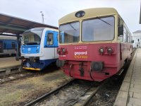 810 405-1