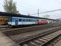 810 236-0