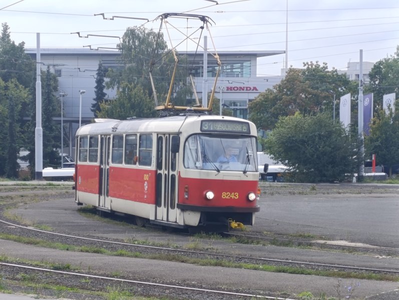 8243