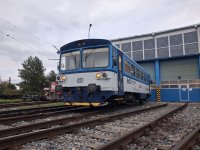 810 501-7