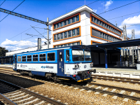810 333-5