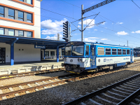 810 333-5