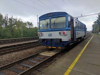 810 113-1