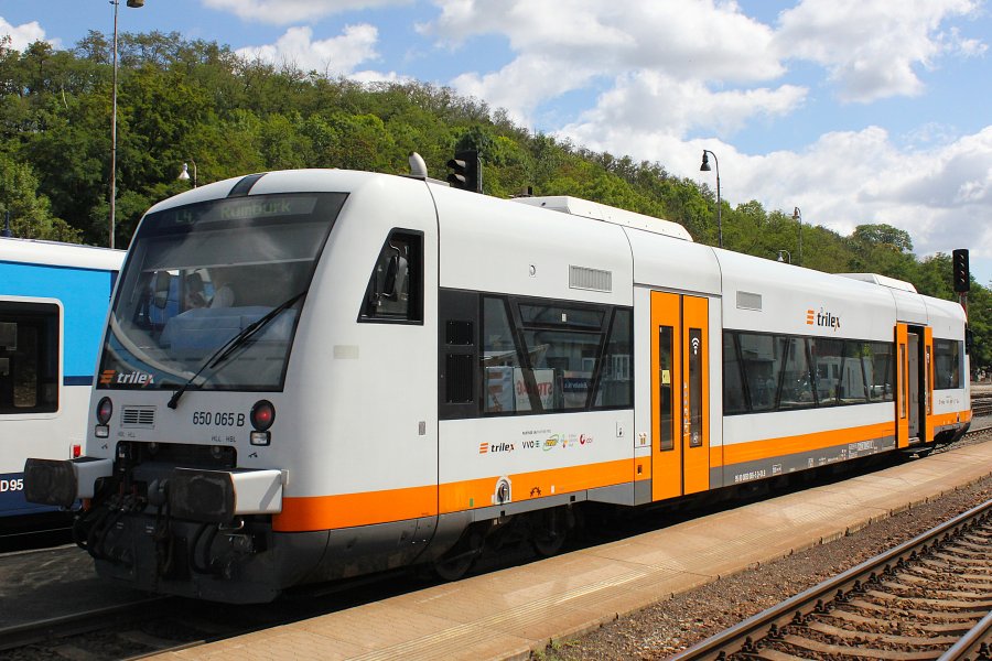 650 065-5
