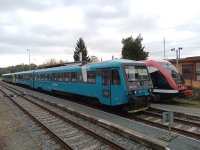 845 115-5