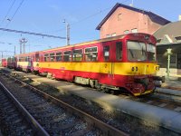 810 486-1