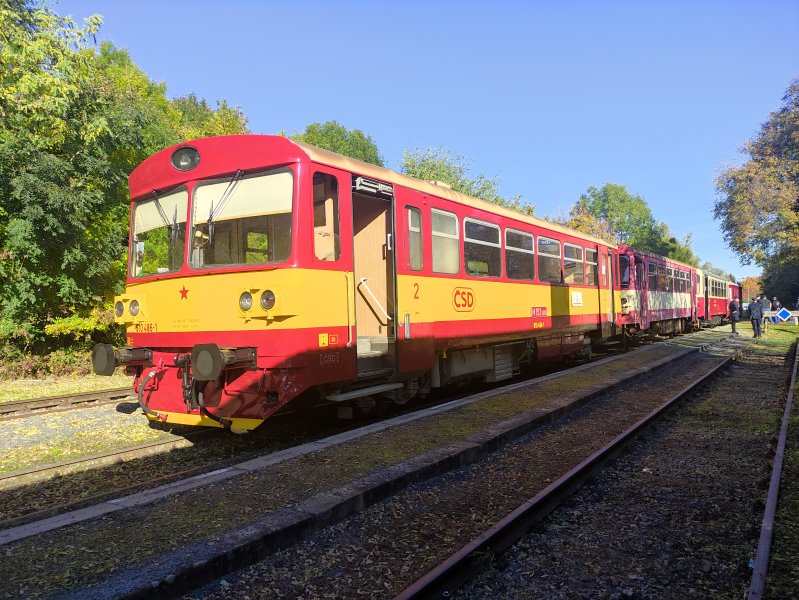 810 486-1