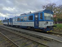 811 639-4