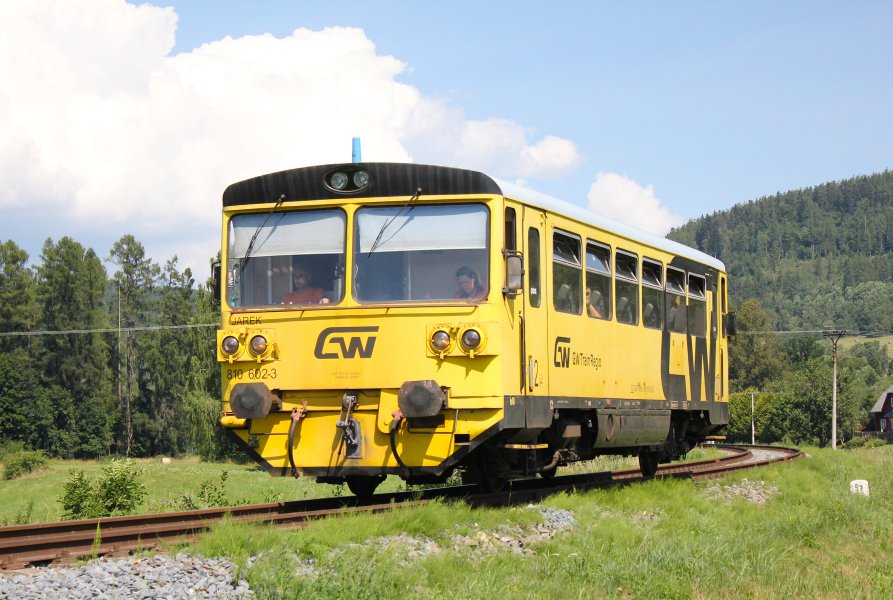 810 602-3