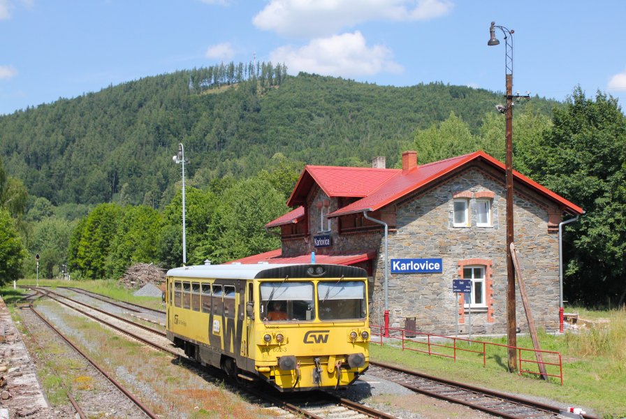810 602-3