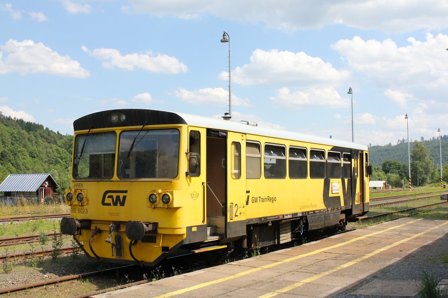 810 602-3
