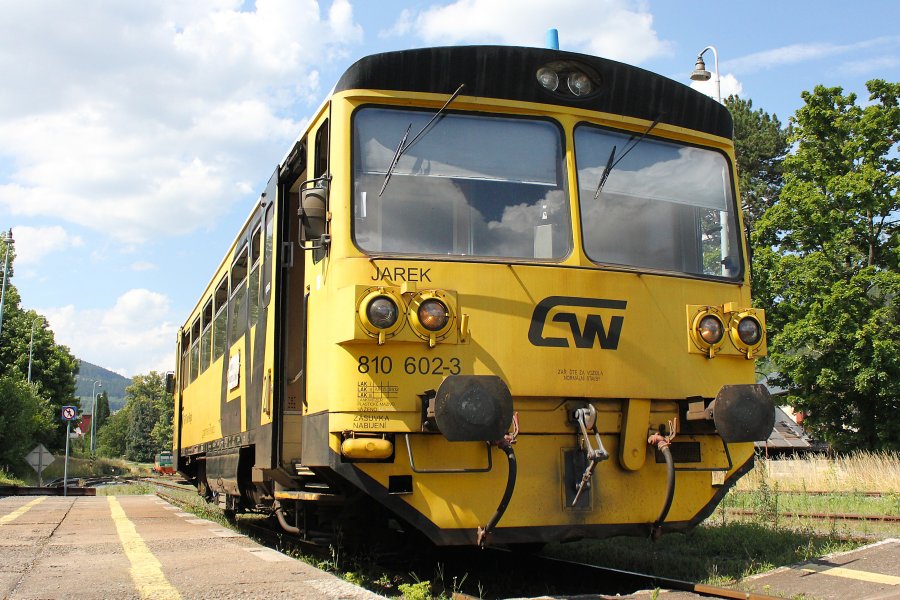810 602-3