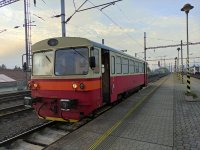 810 535-5