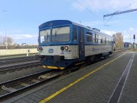 811 524-8