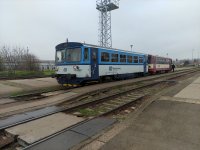 810 652-8