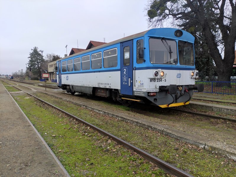 810 234-5